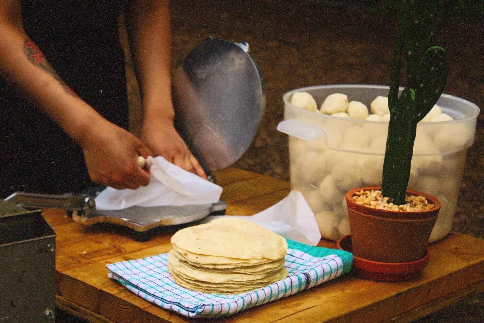 Catering services — 2